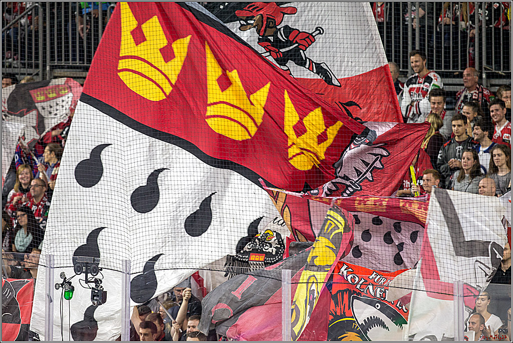 DEL Koelner Haie - Augsburg Panther, 14.09.2018